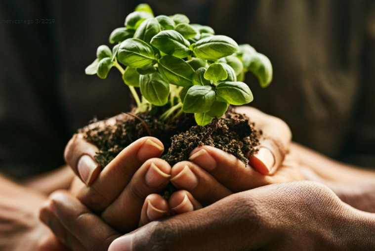 Naturalne, ale co to właściwie oznacza? Kierunki rozwoju sektora kosmetyków naturalnych