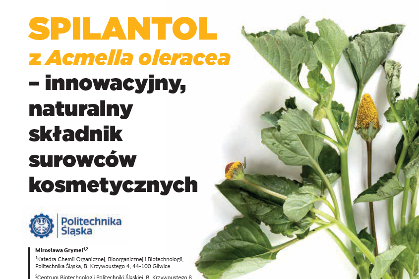 SPILANTOL z Acmella oleracea – innowacyjny, naturalny składnik surowców kosmetycznych