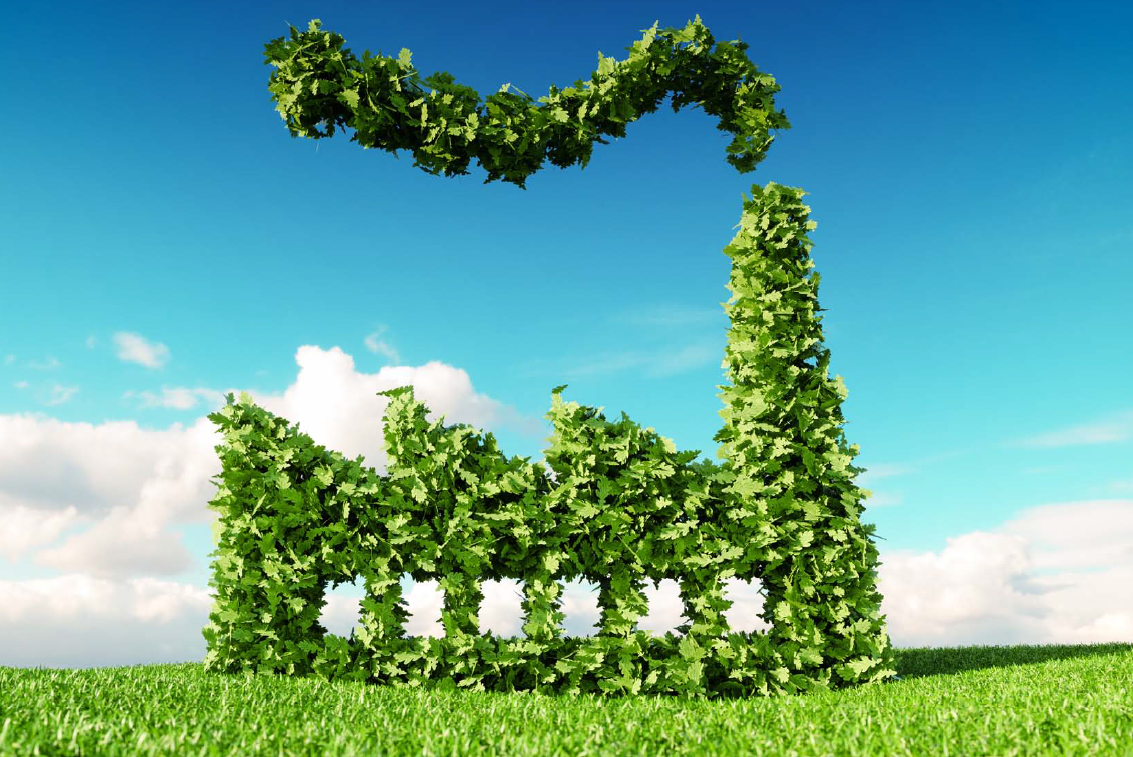 Czy bycie ekologicznym się opłaca?