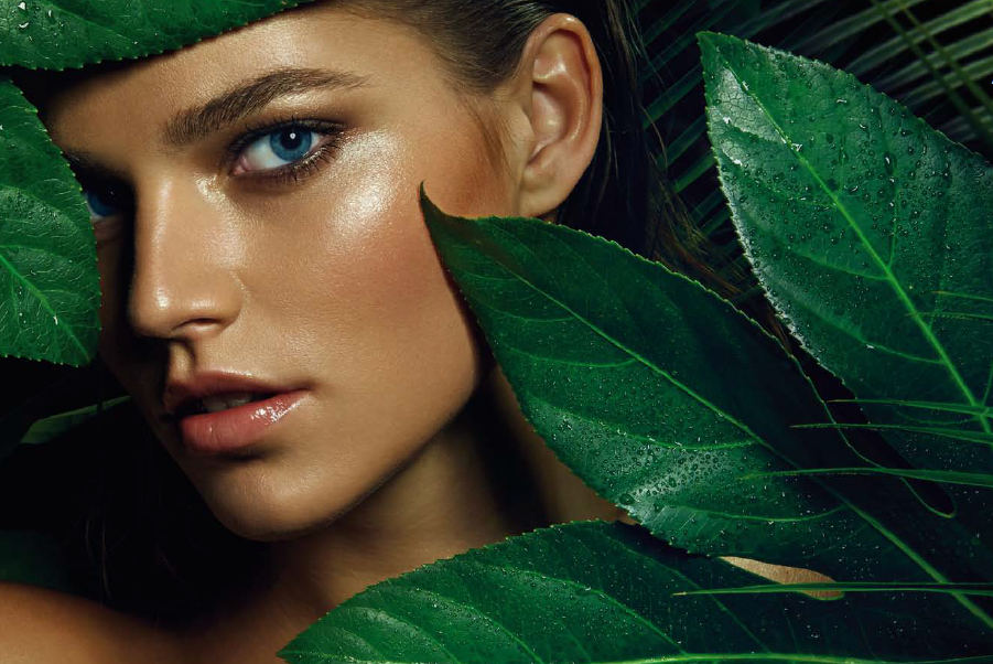 Certyfikowane surowce naturalne – efekt, ekonomia, ekologia