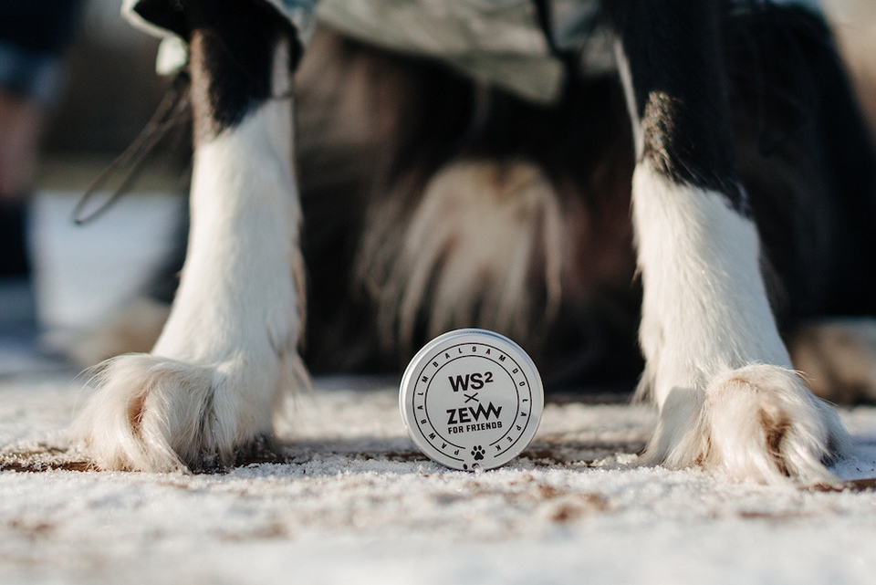 ZEW for friends – marka ZEW for men ratuje zwierzaki!  Poznajcie specjalny balsam ochronny do psich łapek.