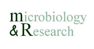 Logo M&R LAB Microbiology & Research